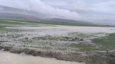 Gaziantep'te Tarım Arazileri Su İçinde Kaldı