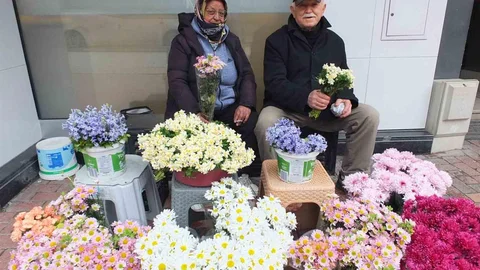 Burhaniye'de Çiçekçiler Umutlu Bekleyişte