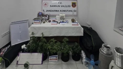 Samsun'da Uyuşturucu Serası Bulundu