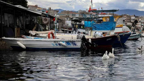 Balıkçılara Mazot Desteği Müjdesi