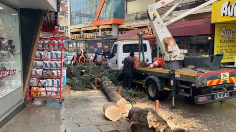 Isparta’da Fırtına Ağaçları Devirdi