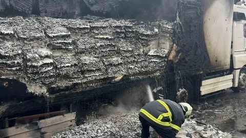 Kırklareli'nde Hamsi Yüklü Tır Yangını