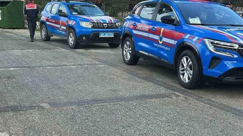 Bodrum'da İki Köpeğin Vurulması İddiası