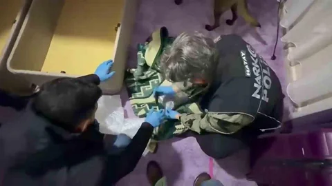 Hatay'da Uyuşturucu Operasyonu