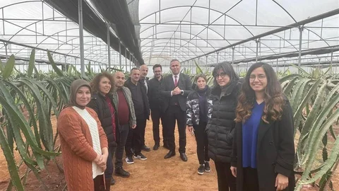 Efeler'de Pitaya Projesi İncelendi