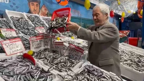 Deniz Bereketi Hamsi Fiyatlarını Düşürdü