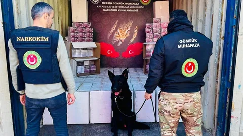 Gümrükte Kaçakçılık Operasyonu Başarılı Oldu