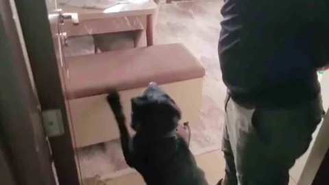 Adana'da Eroin Yakalandı