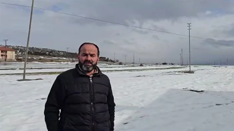 Sivas'ta Kurt Yerleşim Yerine İndi