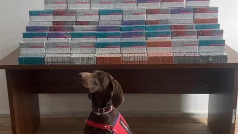 Bolu'da Elektronik Sigara Operasyonu