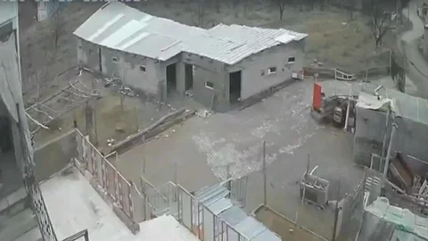 Nevşehir'de Fırtına Hayvanları Vurdu