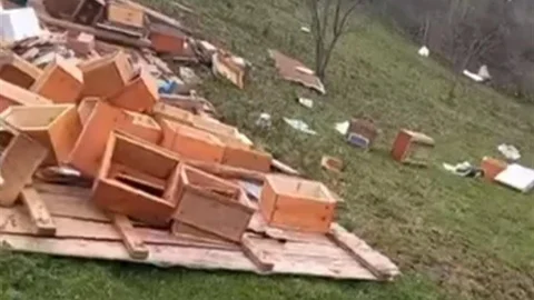 Türkeli'de Fırtına Arıcılığı Vurdu