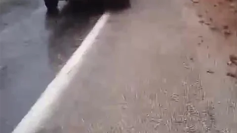 Adana'da Düşen Kayalar Tehlike Saçıyor