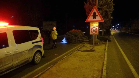 Malatya'da Fırtına Ağaçları Sökerek Geçti