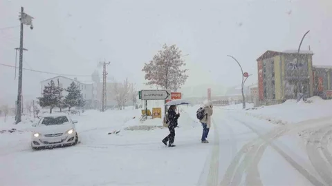 Başkale'de Yoğun Kar Yağışı Etkili Oldu