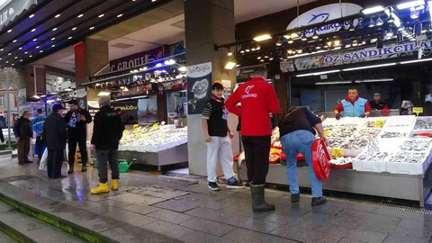 Karadeniz'de Hamsi Bolluğu Yaşanıyor