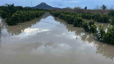 Adana’da Şiddetli Yağış Tarlaları Su Bastı