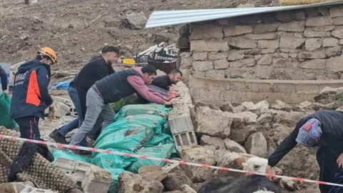 Aksaray'da Ahır Çöktü, Hayvanlar Kurtarıldı