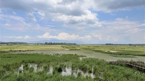 Düzce'de Su Bitkileri ile Doğal Arıtma Çalışması