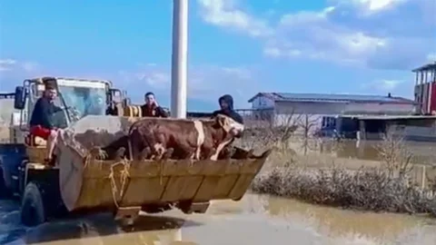 Manisa'da Sel Felaketi ve Kurtarma Operasyonu