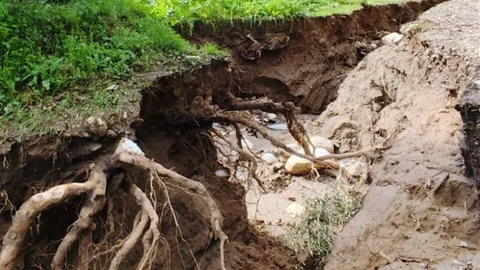 Aydın'da Zeytinlikte İkinci Dere Yatağı Oluştu