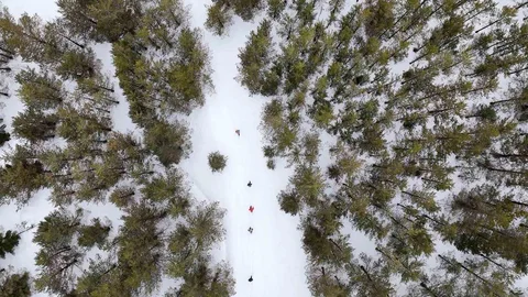 Tersun Dağı'nda Kış Yürüyüşü Etkinliği