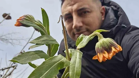 Bitlis'te Şubat Sürprizi: Çiçekler Açtı