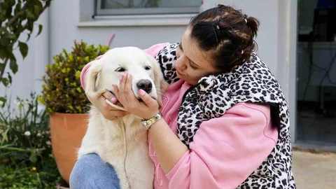 Antalya'da Sokak Hayvanları Sahiplenilmeyi Bekliyor