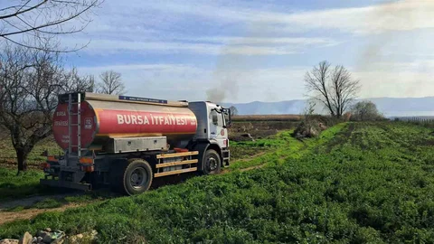 İznik'te Sazlık Yangını Büyüyor