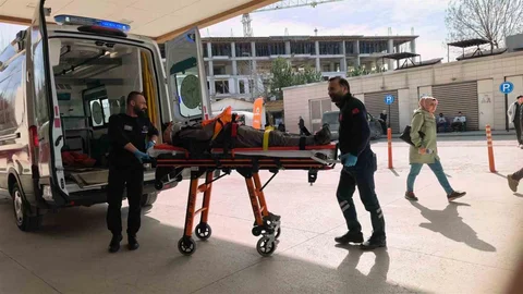 Ceviz Ağacından Düşen Yaşlı Adam Yaralandı