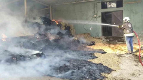 Kocaeli Kartepe'de Yangın Olayı