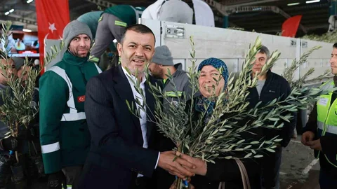 Denizli'de Zeytin Fidanı Dağıtımı