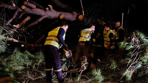 Bodrum'da Fırtına Sonrası Hızlı Müdahale