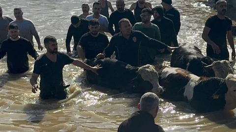Manisa'da Gediz Nehri Taştı