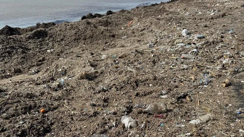 Kazanlı Sahili’nde Kirlilik Alarmı: Vatandaşlar Temizlik Bekliyor