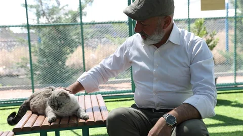 Kayseri'de Kedi Kasabası Ziyaretçi Rekoru Kırıyor