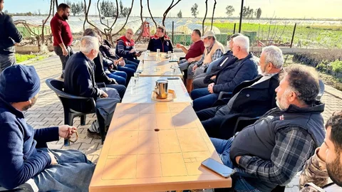 Müdür Karadağ, Tarsus'ta Selden Zarar Gören Tarım Alanlarında İncelemelerde Bulundu