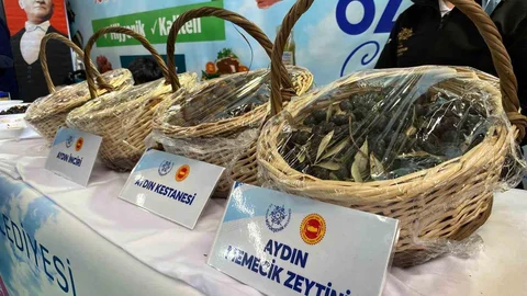 Aydın Tarım Fuarı'nda Yoğun İlgi Var