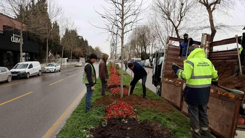 Sakarya'da Ağaçlandırma Çalışmaları Devam Ediyor
