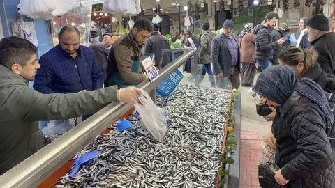 Bolu'da Hamsi Bolluğu Devam Ediyor