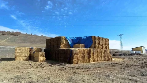 Tokat'ta Elektrik Çarpmasıyla Hayatını Kaybeden Genç Defnedildi