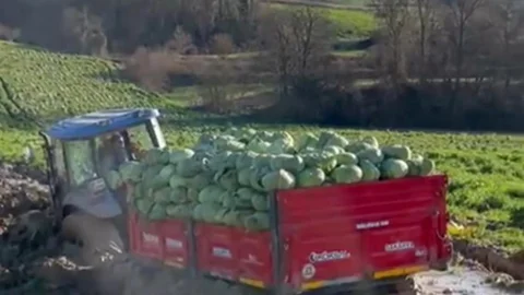 Sakarya'da Çiftçinin Zor Anları