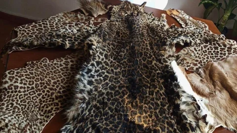 Çukurova Havalimanı'nda Yasadışı Yük Ele Geçirildi