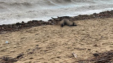 Balıkesir'de Kadın Cesedi Bulundu