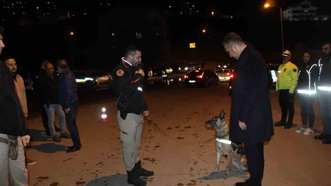 Şırnak’ta Narko Alan Uygulaması Yapıldı