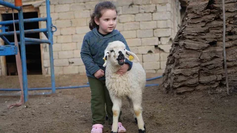 Muş’ta Hayvan Sayısı 1,4 Milyonu Geçti