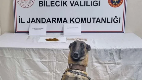 Bilecik'te Uyuşturucu Operasyonu Gerçekleşti