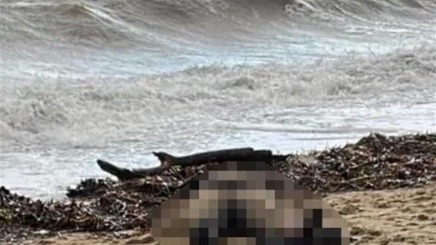 Balıkesir'de Kıyıya Vuran Kadın Cesedi