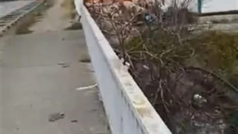 Hopa'da Şantiyede Yangın Çıktı