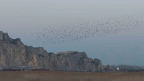 Van Kalesi'nde Sığırcık Dansı